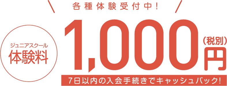 各種体験受付中