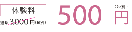 通常3,000円(税別)体験料1,000円(税別)