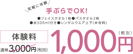 通常3,000円(税別)体験料1,000円(税別)
