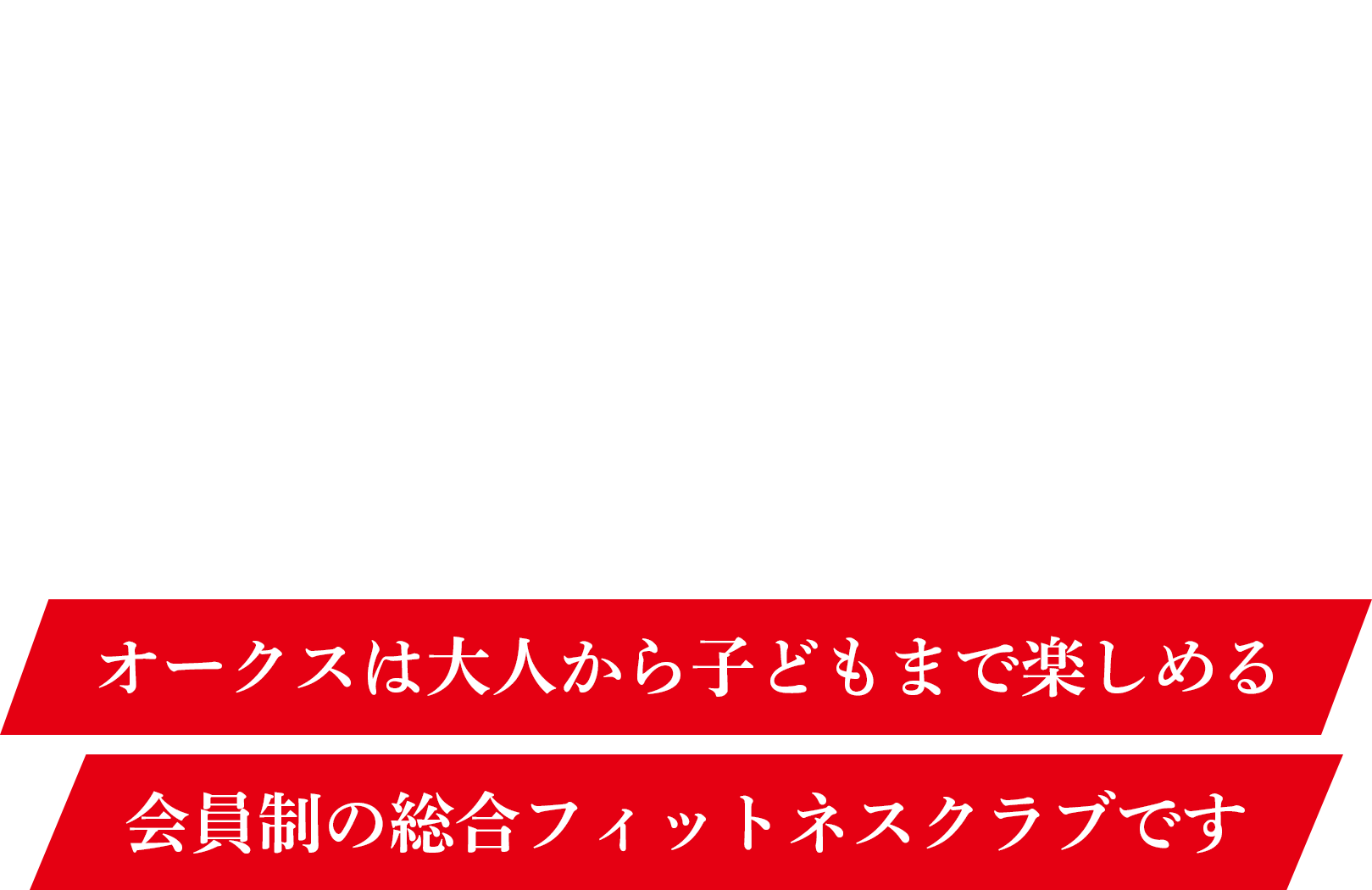 地域部活動推進事業